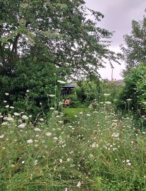 Photo 16- click for photo gallery